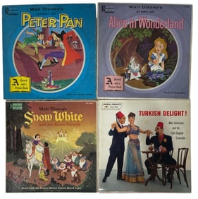 Vinyl Record Collection