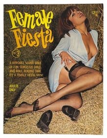 Erotic Adult Magazine Collection