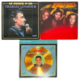 Vinyl Record Collection