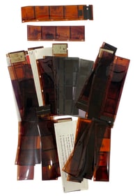 Photo Negative Collection