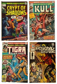 Comic Book Collection