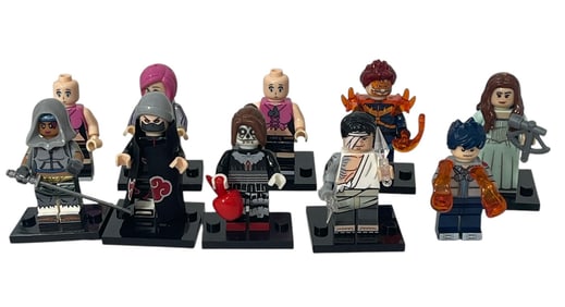 LEGO Figure Collection