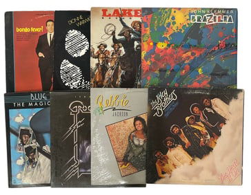 Vinyl Record Collection