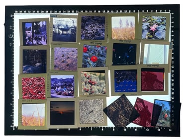 Photo Slide Collection