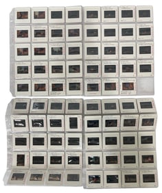 Photo Slide Collection