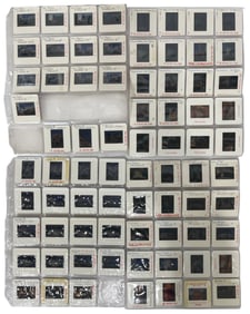 Photo Slide Collection