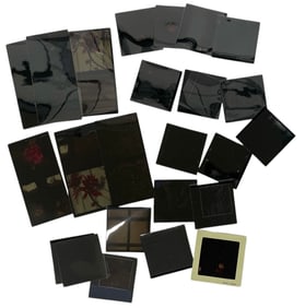 Photo Negative Collection