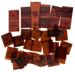 Photo Negative Collection