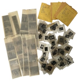 Photo Negative Collection