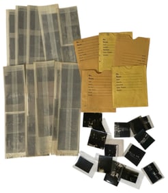 Photo Negative Collection