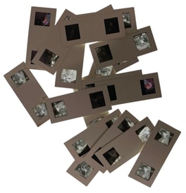 Erotic Adult Photo Slide Collection