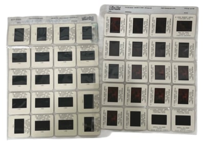 Erotic Adult Photo Slide Collection