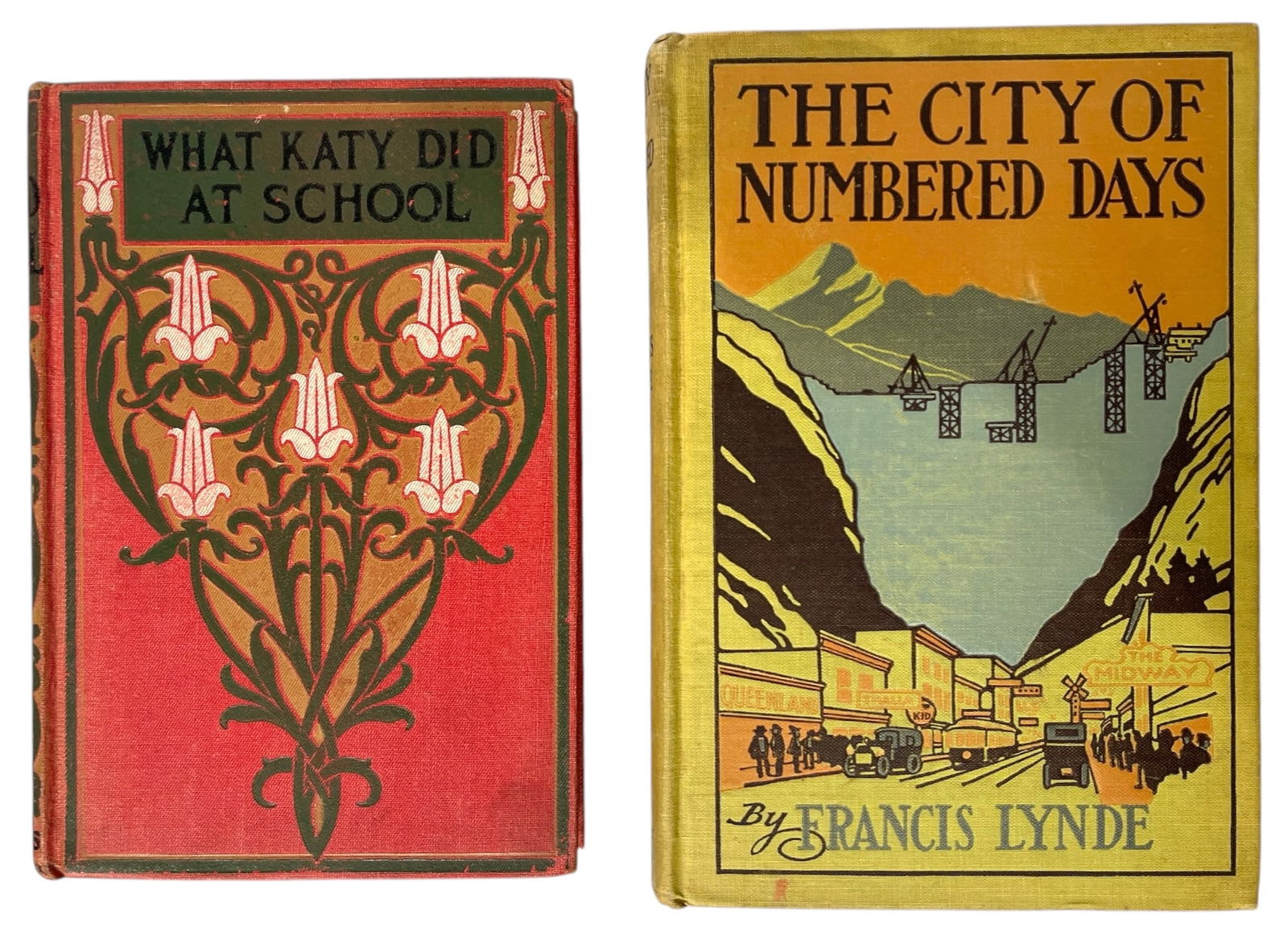 Lot of 2 | Book Collection