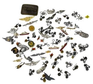 Belt Buck and Pin Collection