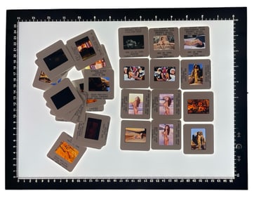 Adult Photo Negative Collection