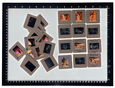 Adult Photo Negative Collection