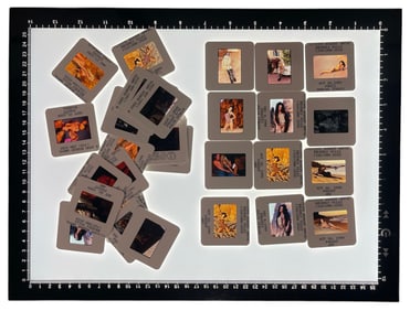 Adult Photo Negative Collection