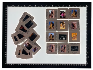 Adult Photo Negative Collection