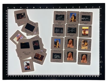 Adult Photo Negative Collection