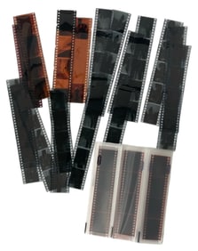 Photo Negative Collection