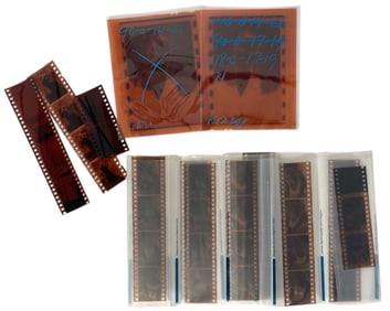Photo Negative Collection