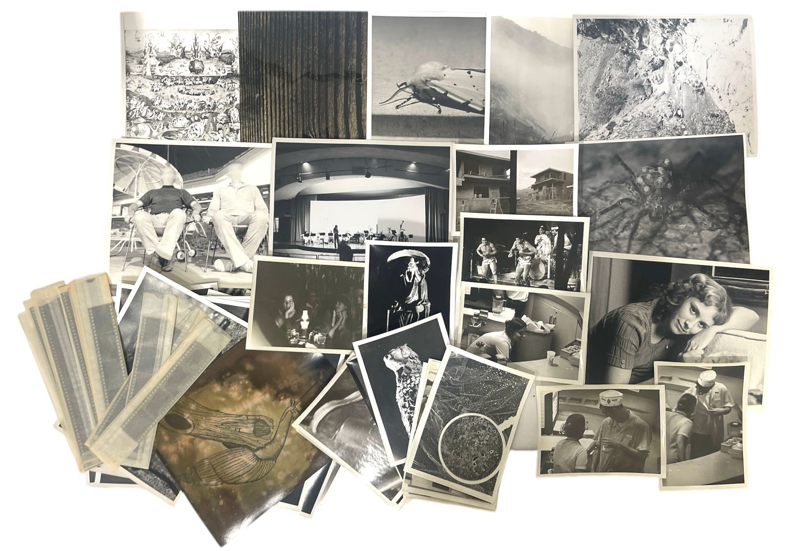 Vintage Photo and Film Collection: Vintage Photo and Film Collection