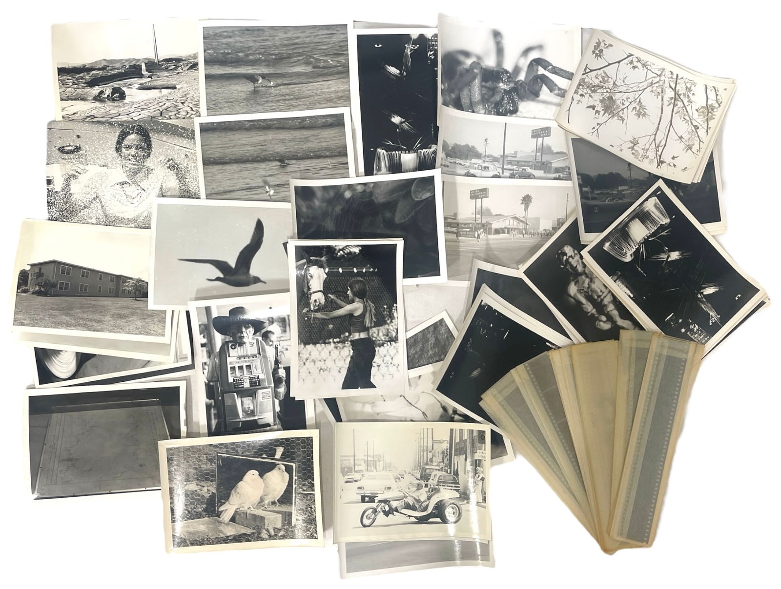 Vintage Photo and Film Collection: Vintage Photo and Film Collection