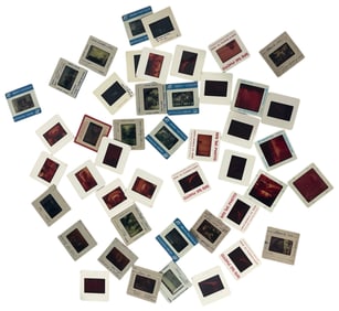 Vintage Photo Slide Collection