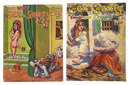 Adult Comic Book Collection
