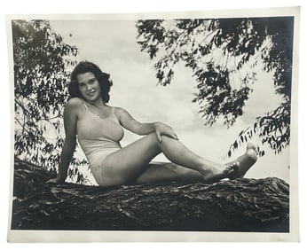 Adult Photo