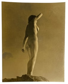 Adult Photo
