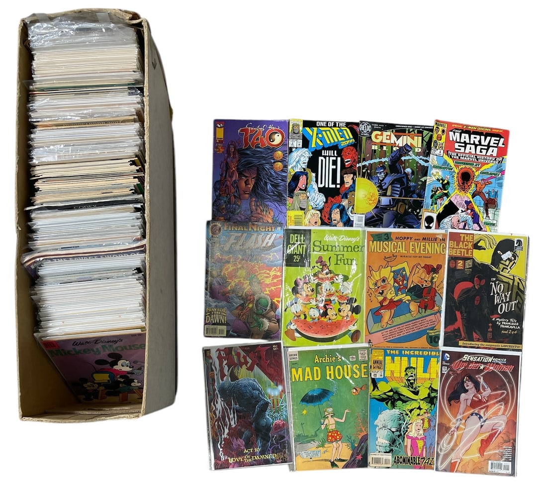 Long Box | Comic Book Collection (1 of 1)