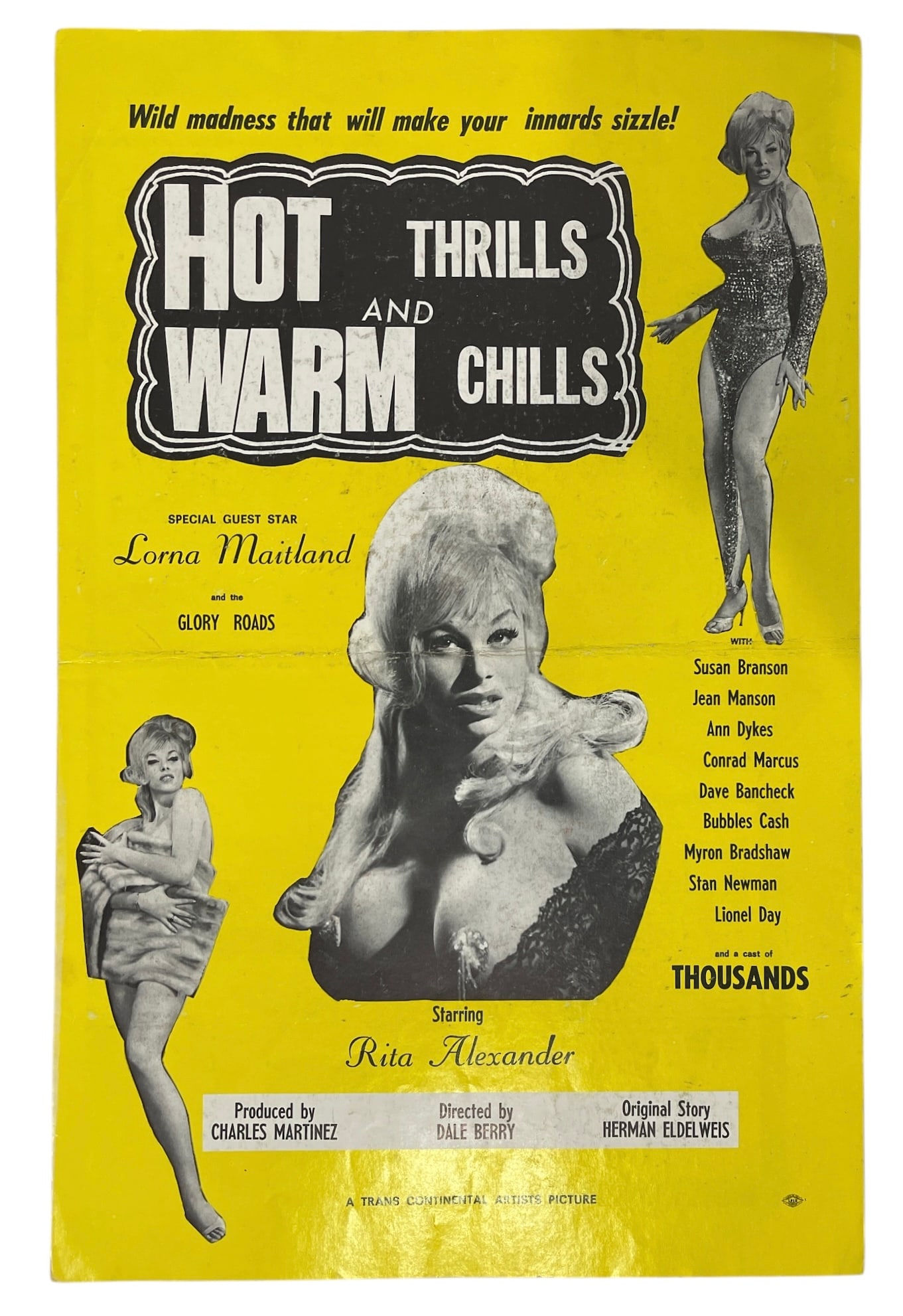 Hot Thrills and Warm Chills | Movie Poster Press Kit Book: Hot Thrills and Warm Chills | Movie Poster Press Kit Book