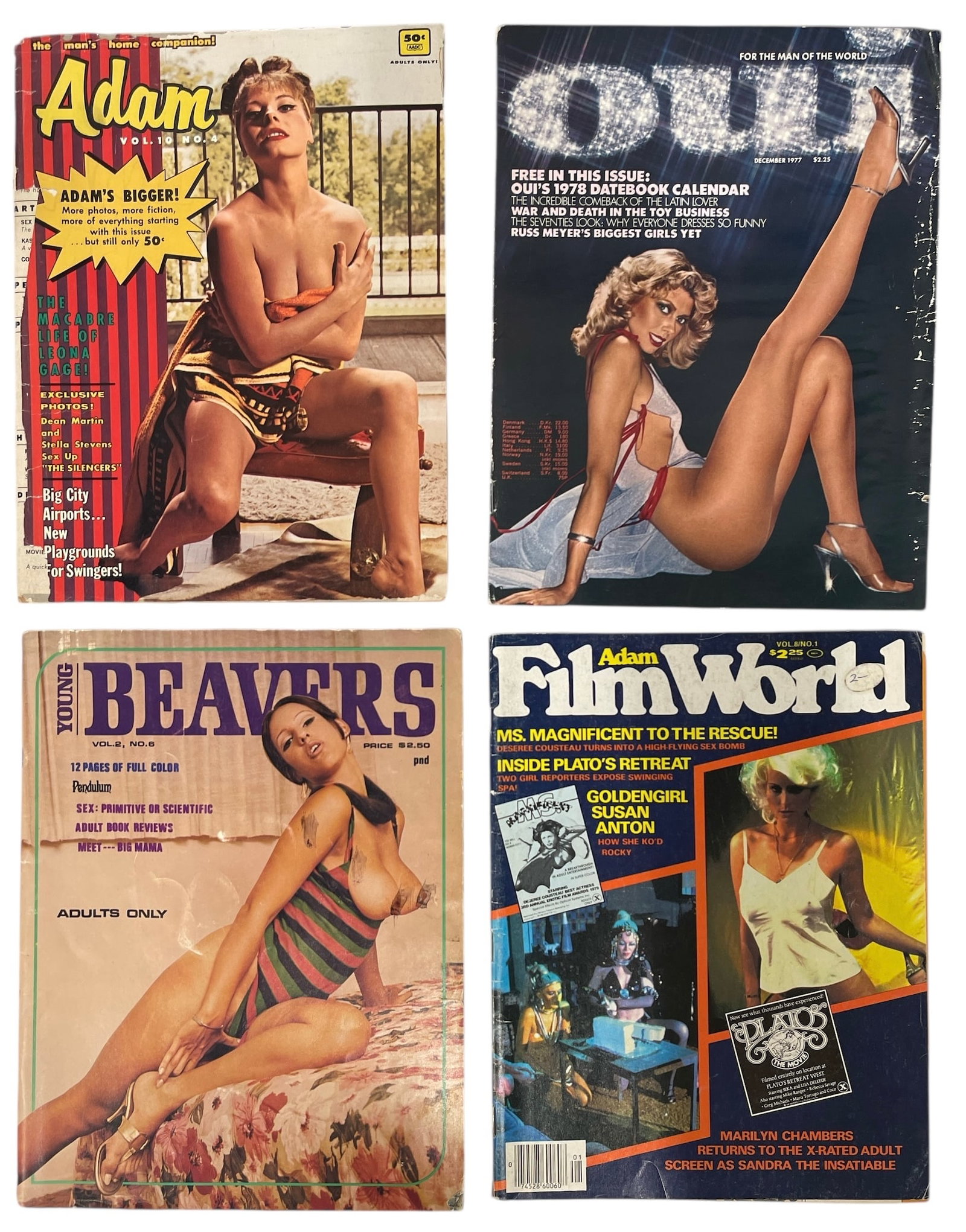 Erotic Adult Magazine Collection: Erotic Adult Magazine Collection