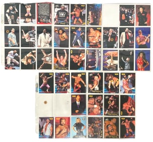 WWF Wrestling Trading Card Collection