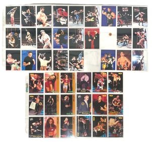 WWF Wrestling Trading Card Collection