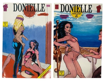 Erotic Adult Comic Book Collection