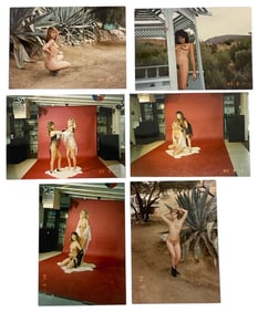 Erotic Adult Photo Collection