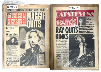 Musical Express and Cat Stevens Newspaper Collection