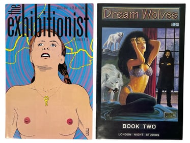Erotic Adult Comic Book Collection