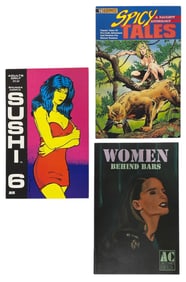 Erotic Adult Comic Book Collection