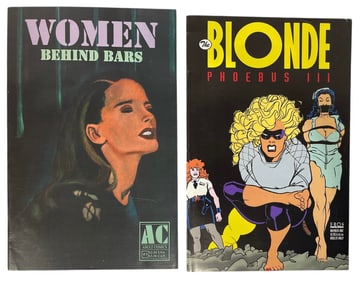 Erotic Adult Comic Book Collection