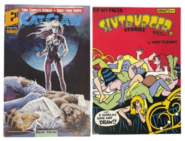 Erotic Adult Comic Book Collection
