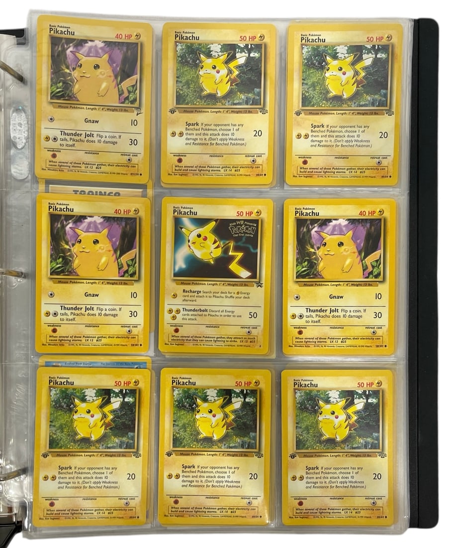 Pokemon Trading Card Collection | 144 pc. (1 of 7)