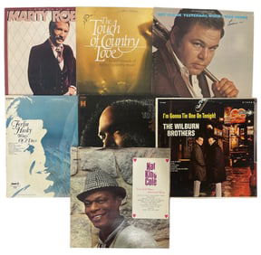 Vinyl Record Collection