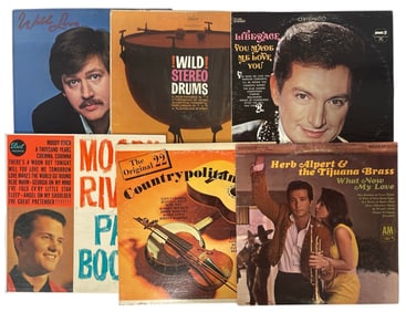 Vinyl Record Collection