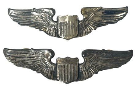 WWII US Army Air Force Pilot Wings | Pins