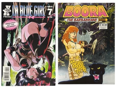 Erotic Adult Comic Book Collection