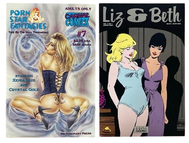 Erotic Adult Comic Book Collection