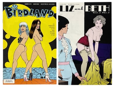 Erotic Adult Comic Book Collection